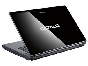 Ноутбук Fujitsu-Siemens Amilo Li3710 (3710MRDX5RU)