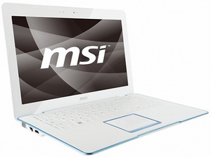 НОУТБУК MSI MegaBook X400 (X400-215UA)